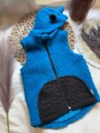 vesta_ursblue